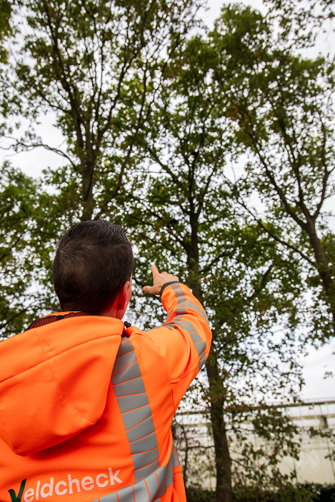 Man voert inspectie uit met de Veldcheck-app